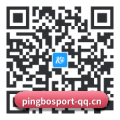 Android 全机型适配版 二维码